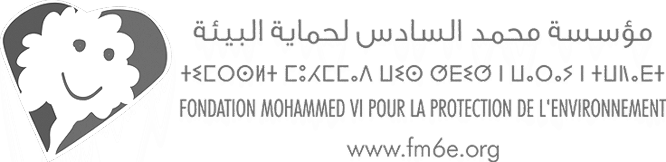 fm6e - logoo_compressed