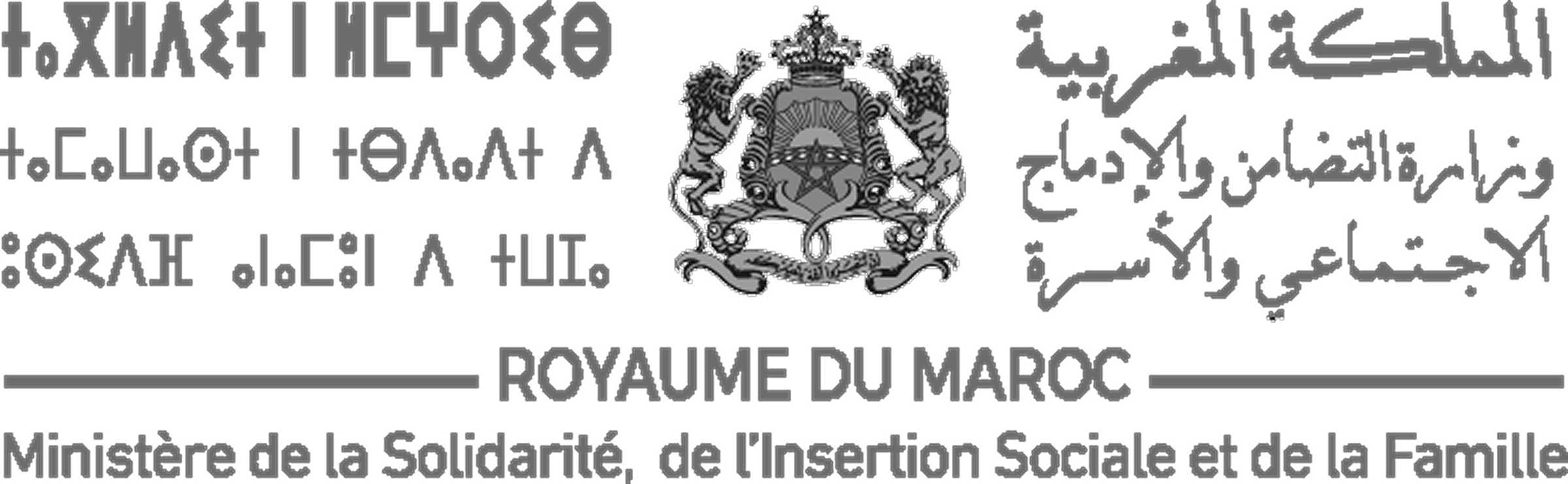 msisf - logoo_compressed